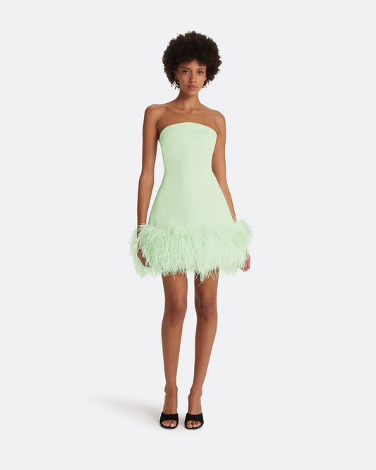 Rowan Aloe Feather-Trimmed Short Dress