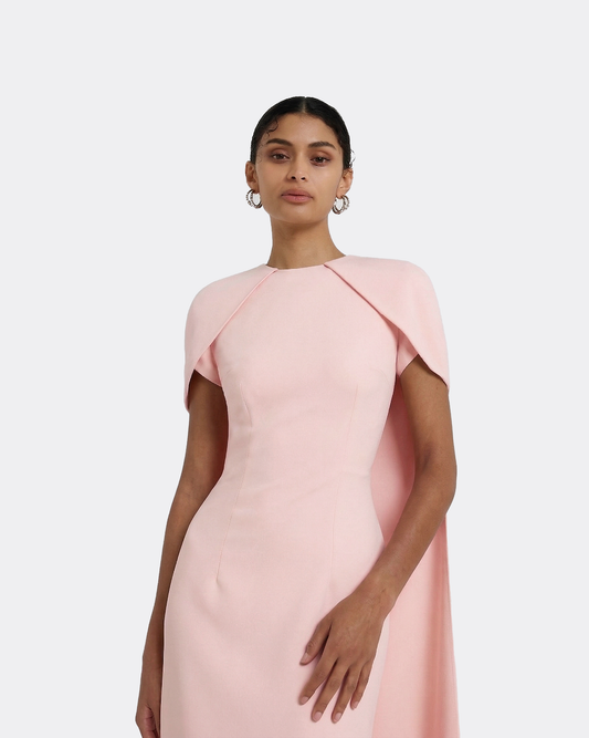 Ginkgo Long Dress in Pale Pink
