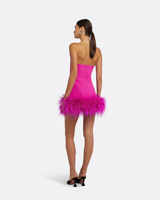 Rowan Wild Strawberry Feather-Trimmed Short Dress