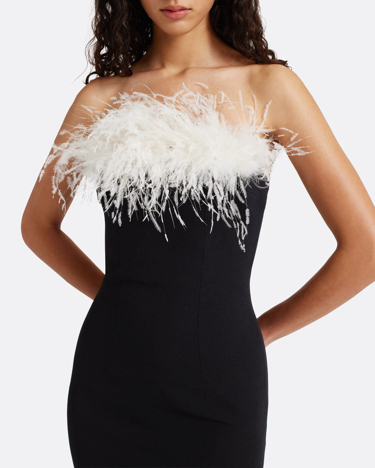 Aerine Midi Dress in Black with Feathers